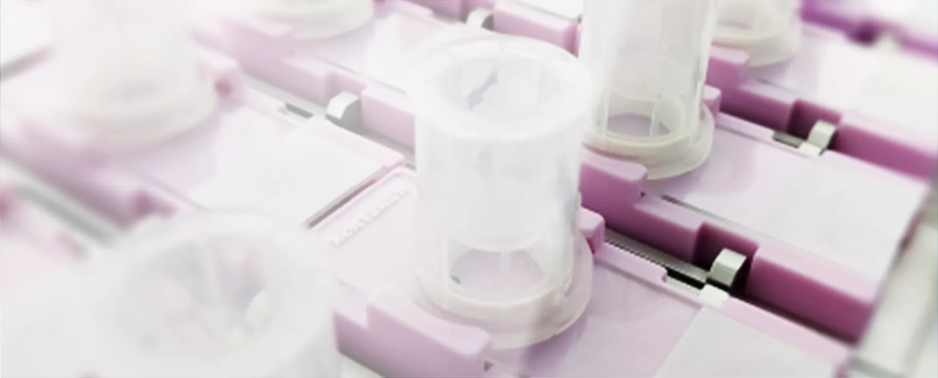 Tissue Processing