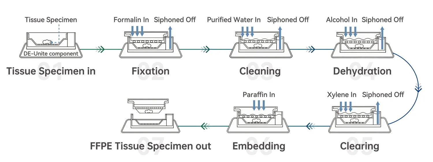 Tailored for Different Tissue Types