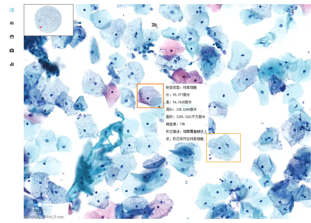 Bacteria.jpg Bacteria.jpg